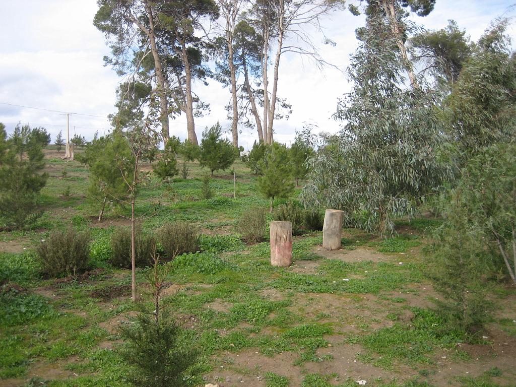 LE TELAGH Le Bosquet  05.jpg